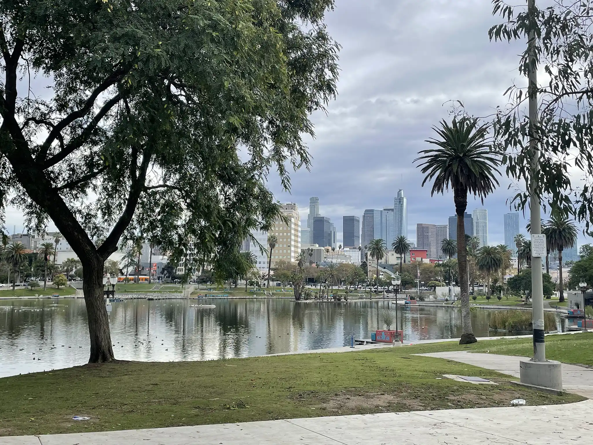 The west lake of Westlake (the East Lake is in Lincoln Park just northeast of Chinatown). Photo by George Singletary.