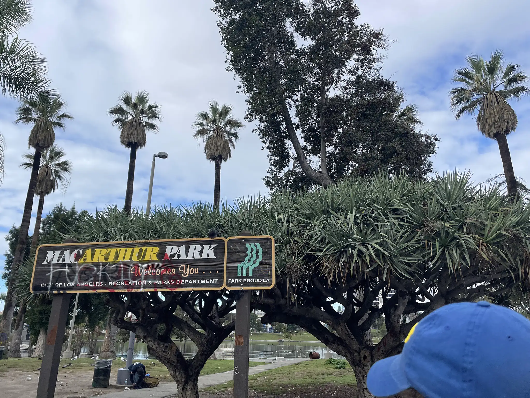 Graffiti that shouts the sentiment of so many in LA. Photo by George Singletary.
