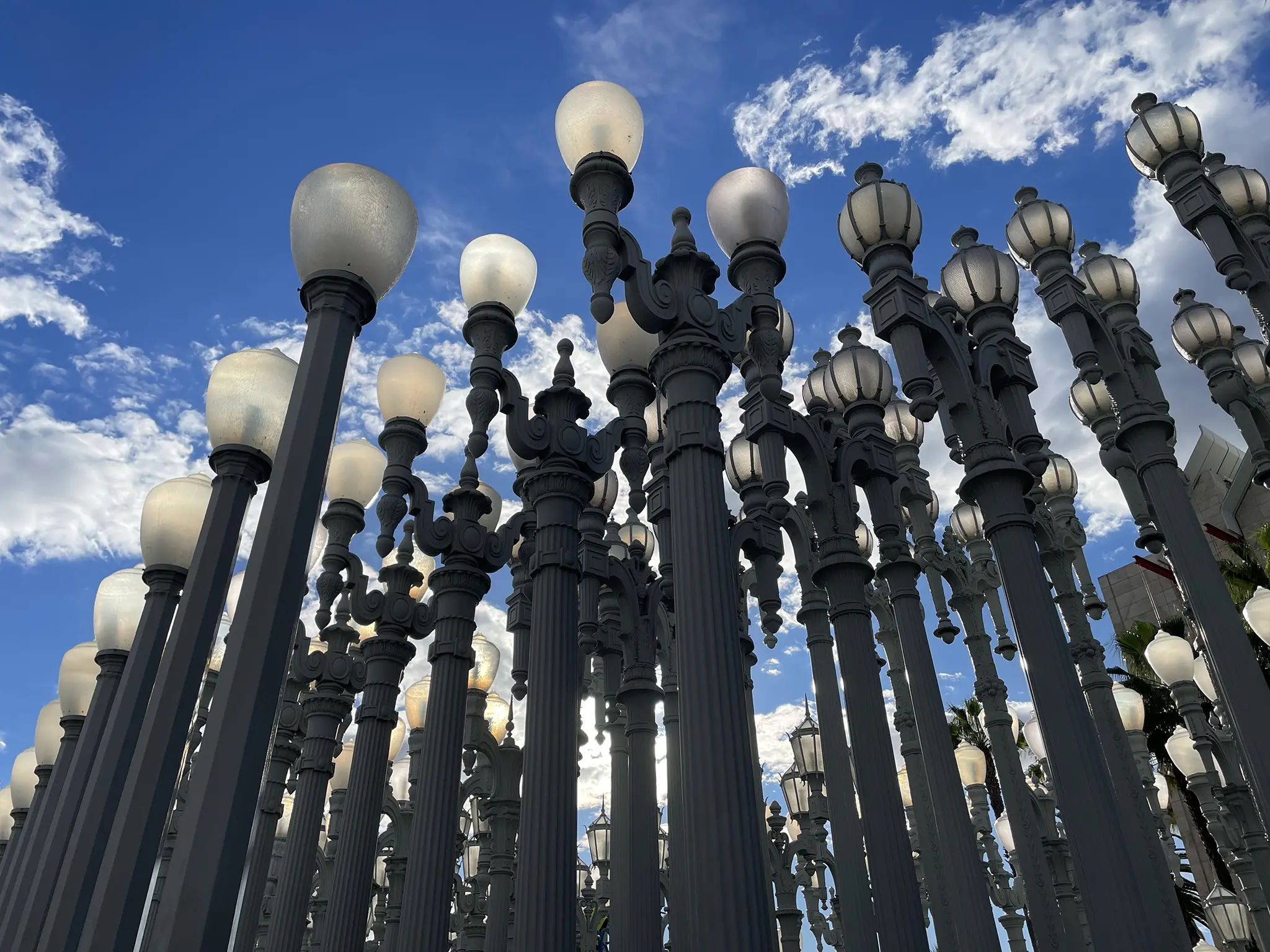 The sky and the lights. Photo by George Singletary.